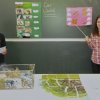 Artenvielfalt in Ökosystemen 